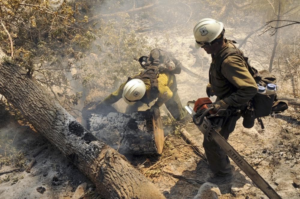 Members of the Entiat Hotshots, based out of central Washington State, work on a spot still burning near Reserve, N.M., Thursday, June 7, 2012. (Brandon R. Oberhardt/U.S. Forest Service via AP)