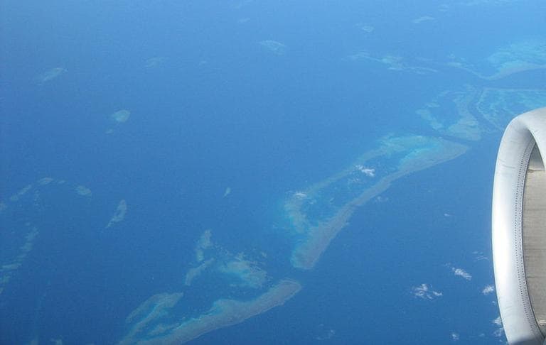 The Great Barrier Reef is clearly visible from aircraft flying over it. (Wikimedia Commons)