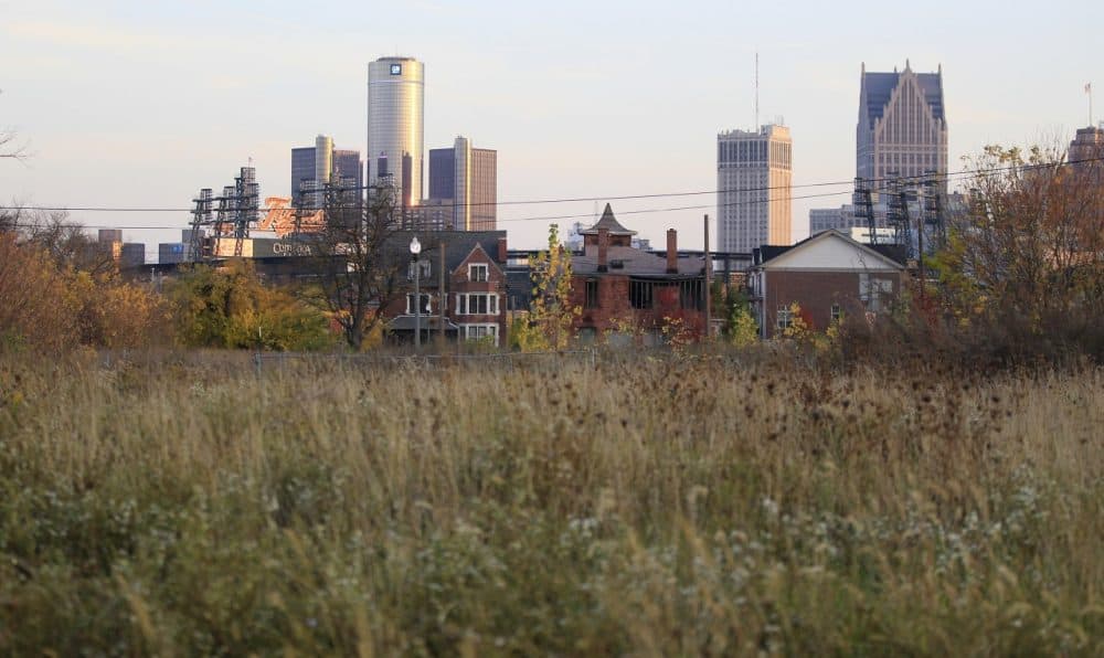 An empty field north of Detroit's downtown, Oct. 24, 2012. (Carlos Osorio/AP)