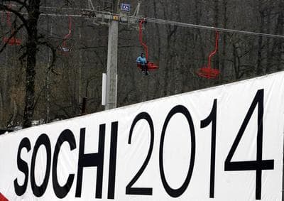 The fast approaching Winter Games have gotten attention for a anti-gay stance taken by the Russian government. ((Mikhail Metzel/AP)