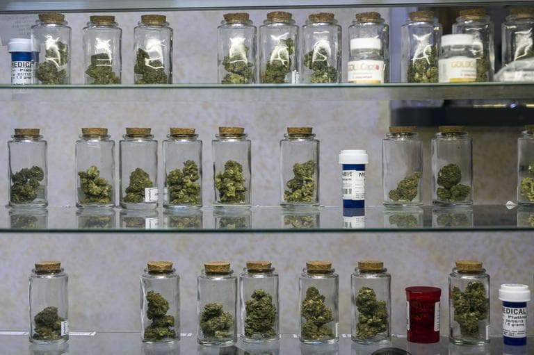The state Department of Public Health has made preliminary applications available for medical marijuana dispensaries. (Damian Dovarganes/AP)
