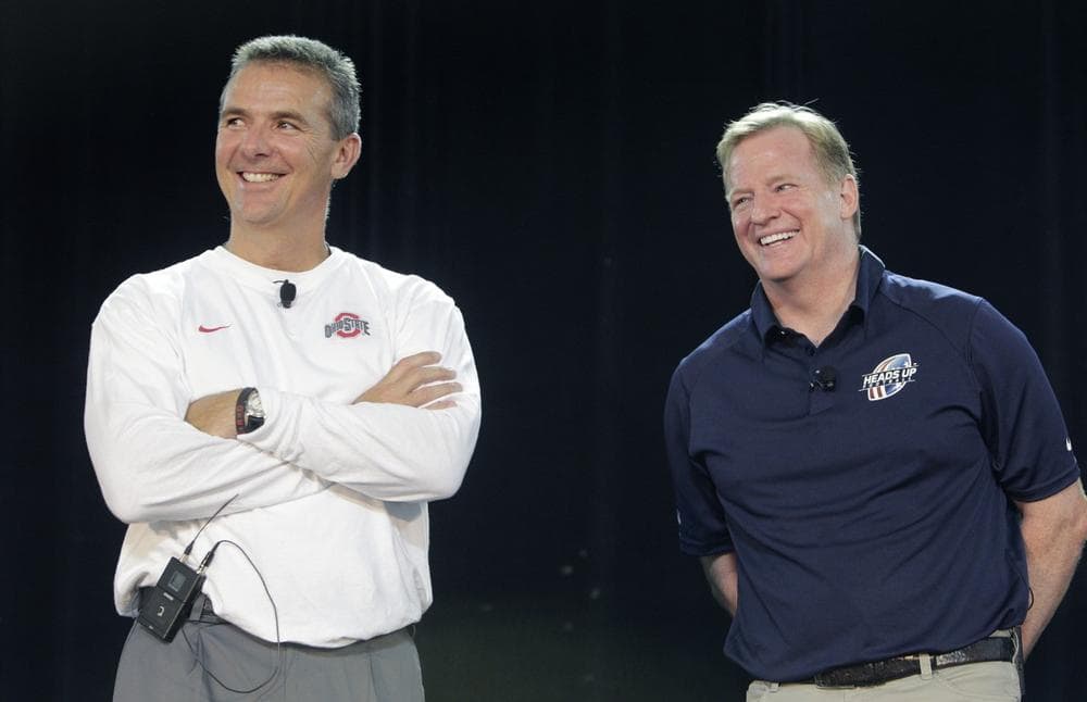 Ohio State Head Coach Urban Meyer (left) and NFL Commissioner Roger Goodell addressed safety at a clinic for mothers. (Jay LaPrete/AP)