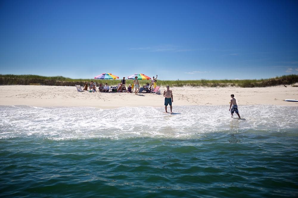 Group of beachgoers listened to a warning from the OCEARCH crew about sharks in the vicinity. (Jesse Costa/WBUR)