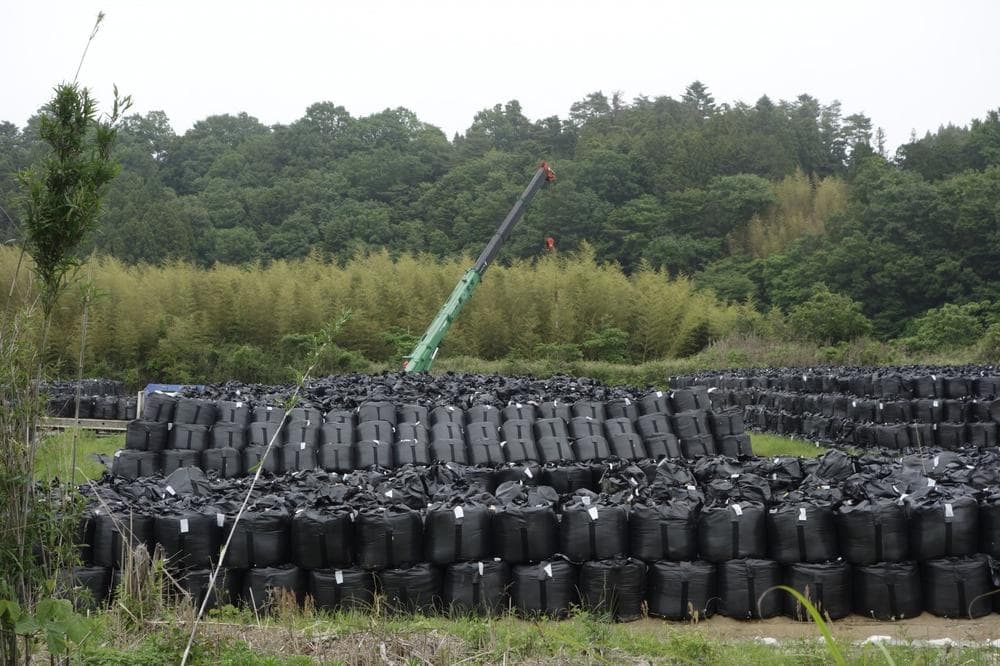 In Fukushima Prefecture, bags of contaminated soil are stacked up in temporary storage sites. (Eliza Strickland/IEEE Spectrum)