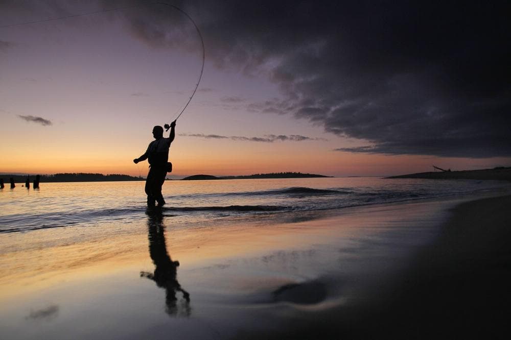 Bill Manser, of Royalston, Mass., casts for striped bass at the mouth of Kennebec River at dawn, Friday, Aug. 5, 2011, in Phippsburg, Maine. (AP/Robert F. Bukaty)