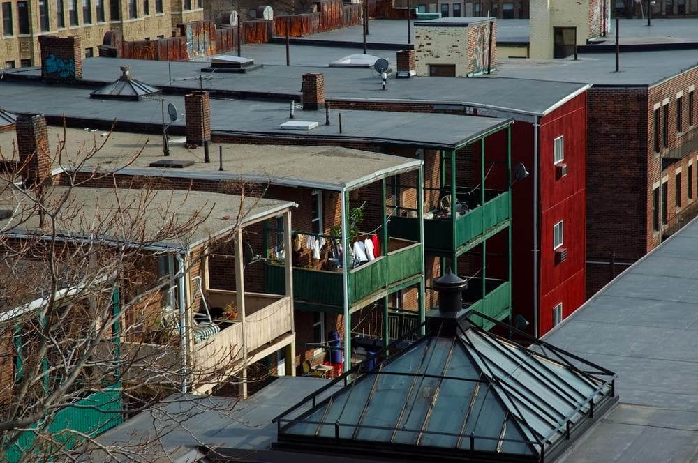 Rooftop view of apartments in Allston, Mass. (Wikimedia Commons/Joel McCoy)