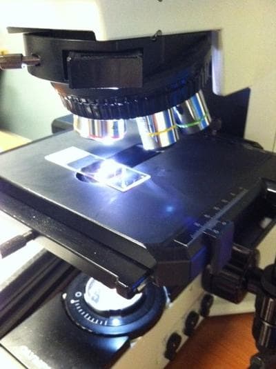 The XXX microscope used by pathologists like the author.