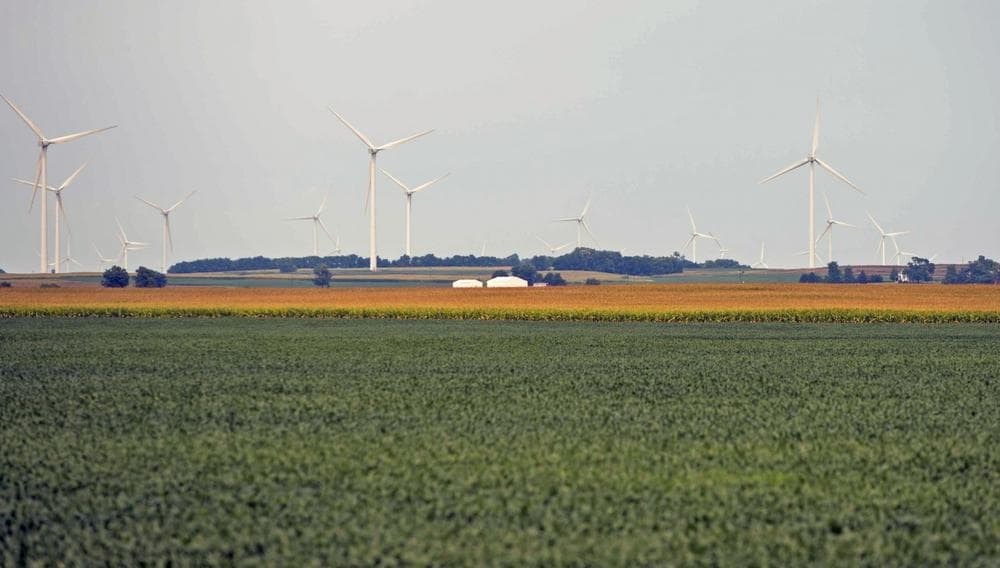Livingston County, Ill., led the nation in crop insurance indemnities for the 2012 crop year. (Darrell Hoemann/The Midwest Center for Investigative Reporting)