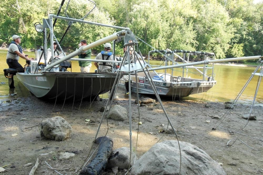 The Michigan Department of Natural Resources uses electric probes to stun fish. (Lindsey Smith/Michigan Radio)