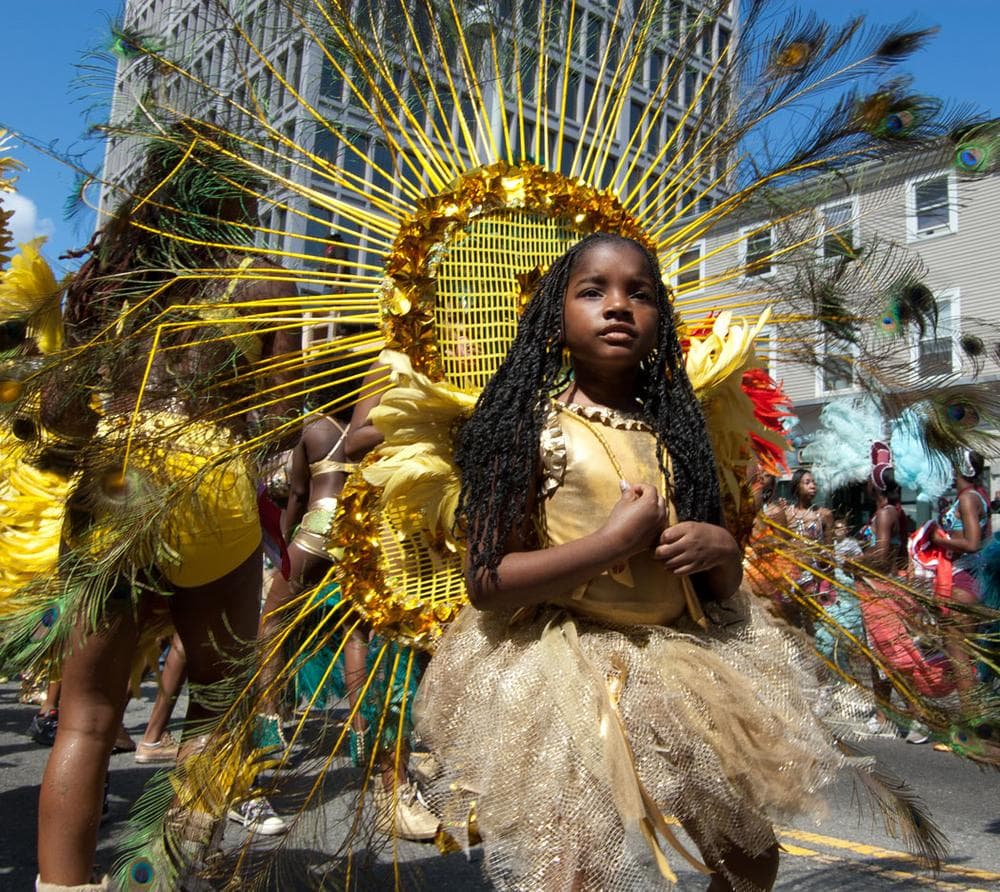 Cambridge Carnival International Parade. (Greg Cook)