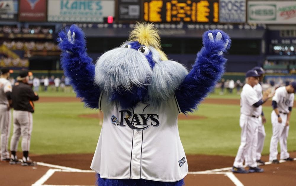 He may be cute and cuddly, but Tampa Bay mascot Raymond earned the Rays a point on the MLB Hateability Index. (Chris O'Meara/AP)