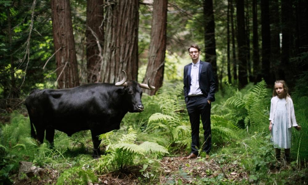 San Fermin is the &quot;brain child of a classically-trained 24-year-old composer and pianist named Ellis Ludwig-Leone,&quot; according to NPR&#039;s Stephen Thompson. (Tom O&#039;Neal)
