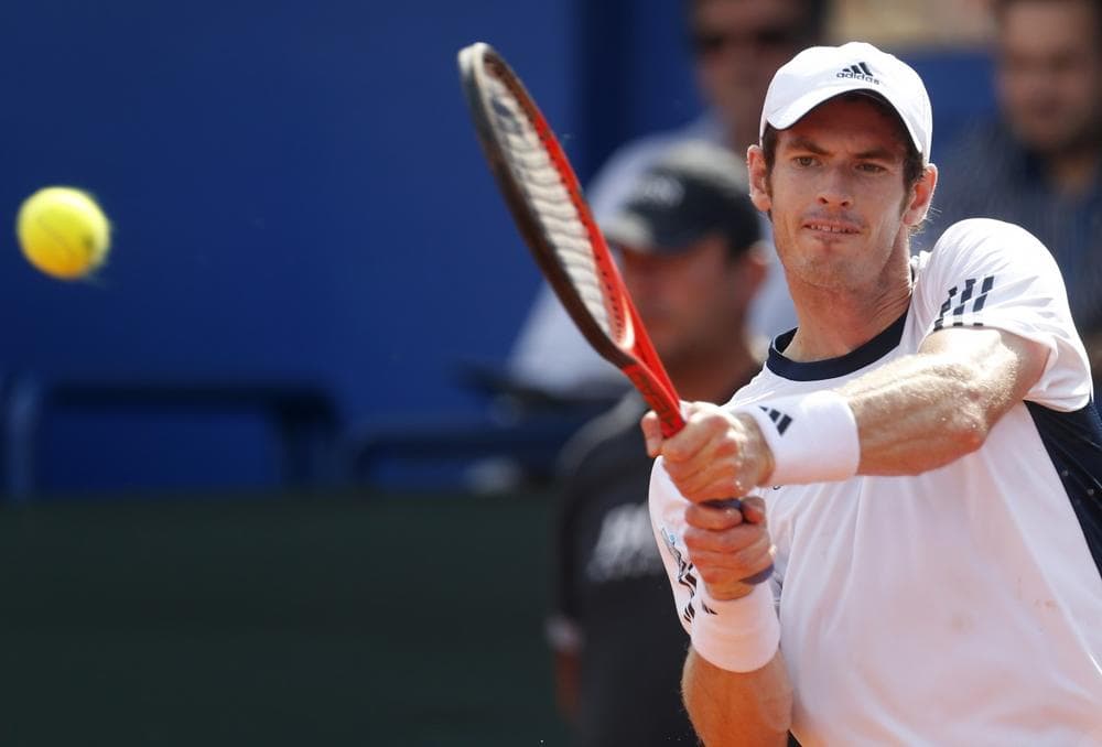 Andy Murray can add knighthood to his long list of accolades. (Darko Bandic/AP)