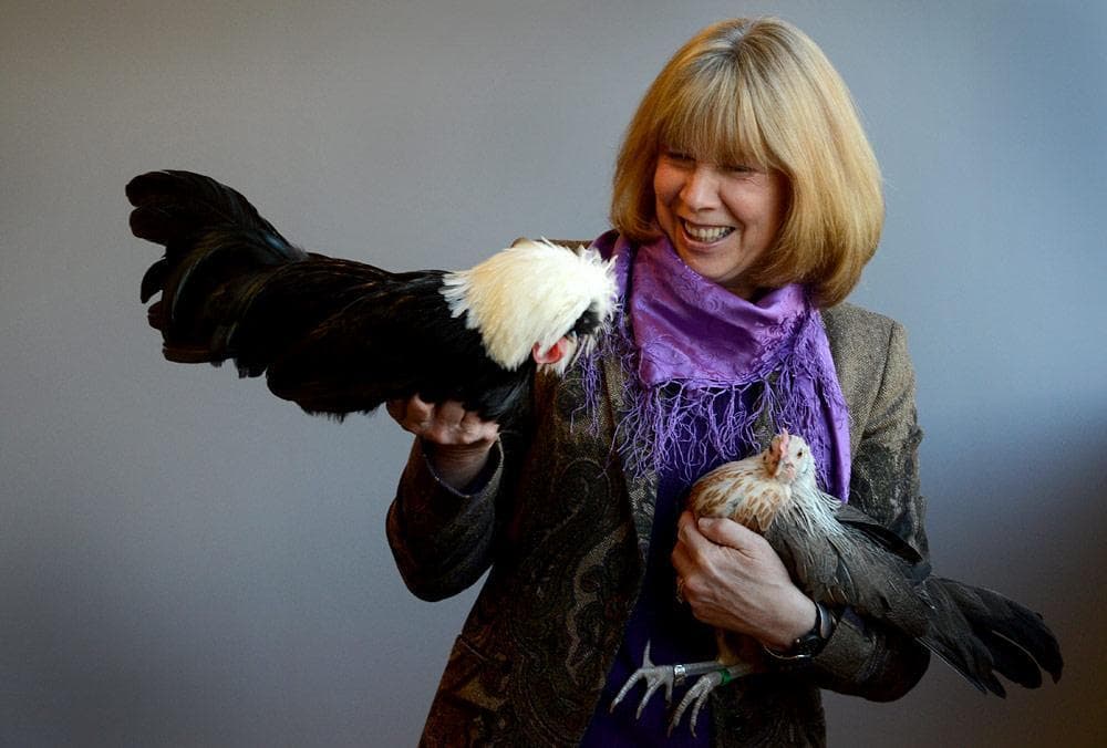 Jan Brett, pictured with her chickens. (Robin Lubbock/WBUR)