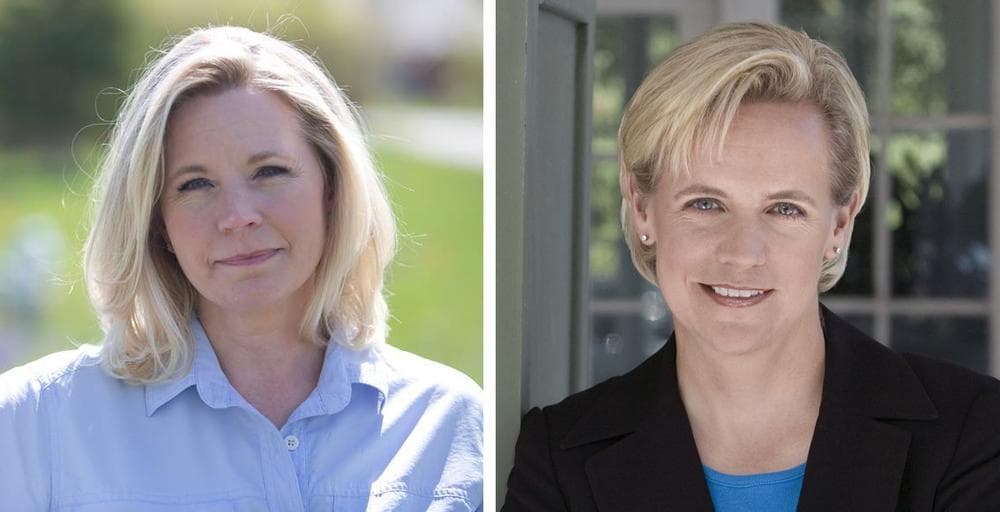 Liz Cheney, left, and Mary Cheney, right, have been feuding publicly over same-sex marriage.