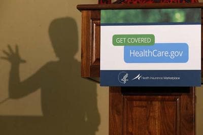 In this Friday, Nov. 15, 2013 photo, the shadow of Health and Human Services Secretary Kathleen Sebelius is shown as she speaks at the Community Health and Social Services Center in Detroit. Technology experts say healing what ails the Healthcare.gov website will be a tougher task than the Obama administration acknowledges  (AP)
