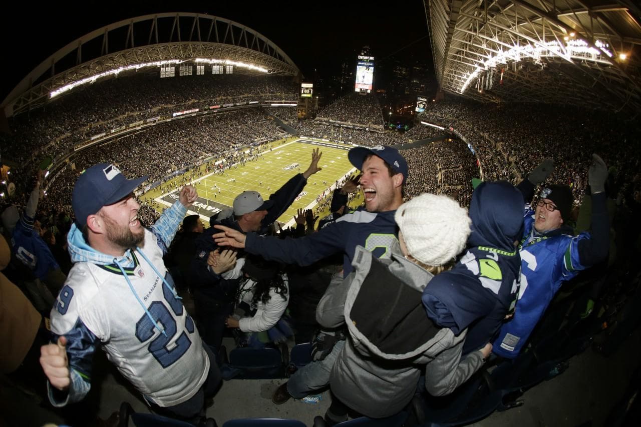 Seahawks fans celebration was so powerful that it registered as an earthquake. (John Froschauer/AP)