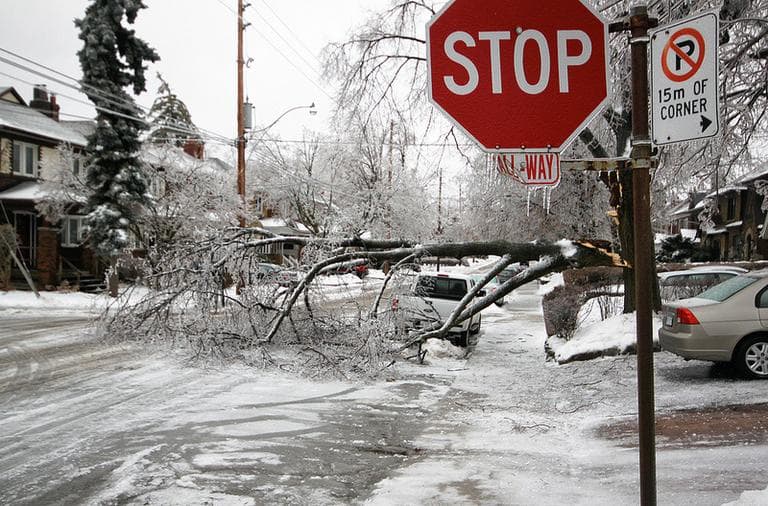 Toronto in the aftermath of the storm an ice storm downed trees and brought single digit temperatures  to Canada and parts of the New England. (Roozbeh Rokni/Flickr)