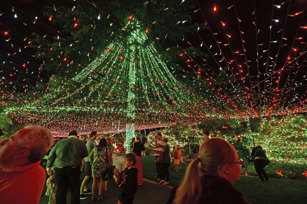The Richards family reclaimed their world record by stringing up more than half a million Christmas lights around their home in suburban Canberra, Australia. Guinness World Records official Chris Sheedy confirmed on Nov. 25, 2013, that they had the most Christmas lights on a residential property with 502,165 twinkling bulbs. (AP Photo/AAPIMAGE, Alan Porritt)