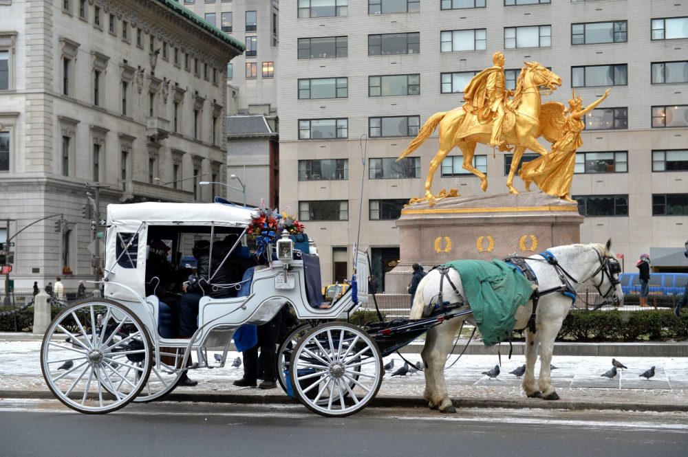 A horse-drawn carriage is seen near Central Park January 2, 2014 in New York. New York City Mayor Bill de Blasio has announced he would like the city council to outlaw the horse-drawn carriages and have them replaced by electric antique cars. (Stan Honda/AFP/Getty Images)