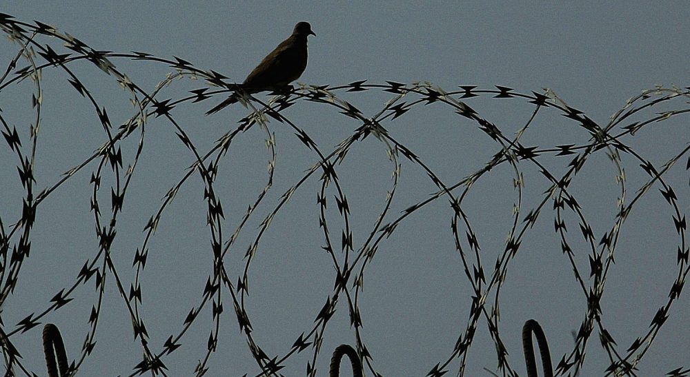 A bird sits on the razorwire fence of the prison, as Iraqi prisoners wait to be released at Abu Ghraib prison west of Baghdad in Iraq on Friday, June 23, 2006.  (Wathiq Khuzaie/AP)