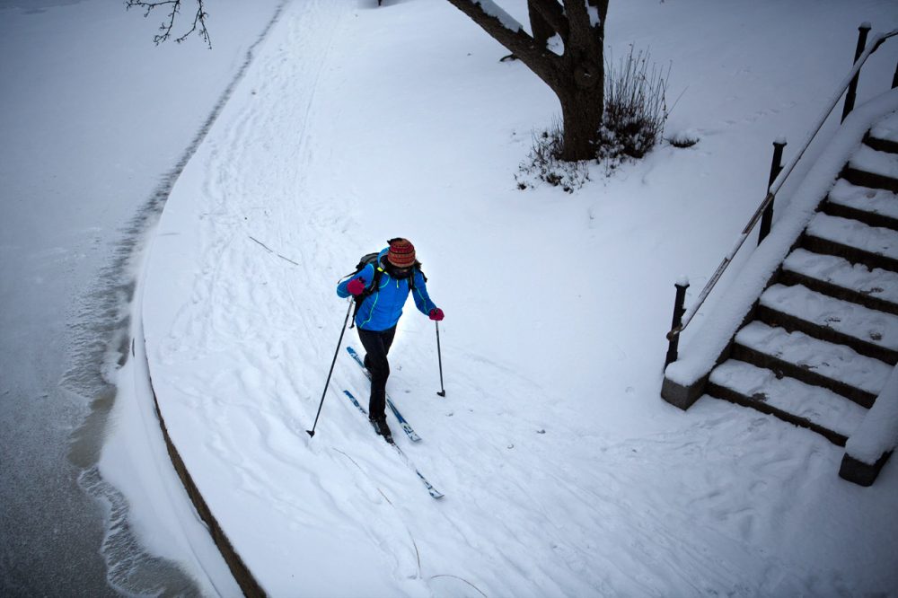 A woman cross-country skis by the pond at Boston's Public Garden. (Jesse Costa/WBUR)