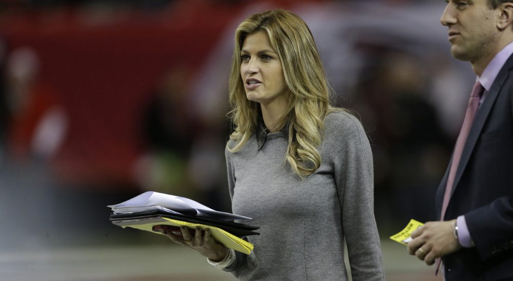 Sideline reporter Erin Andrews walks on the field before the first half of an NFL football game between the Atlanta Falcons and the Carolina Panthers, Sunday, Dec. 29, 2013, in Atlanta. (John Bazemore/AP)