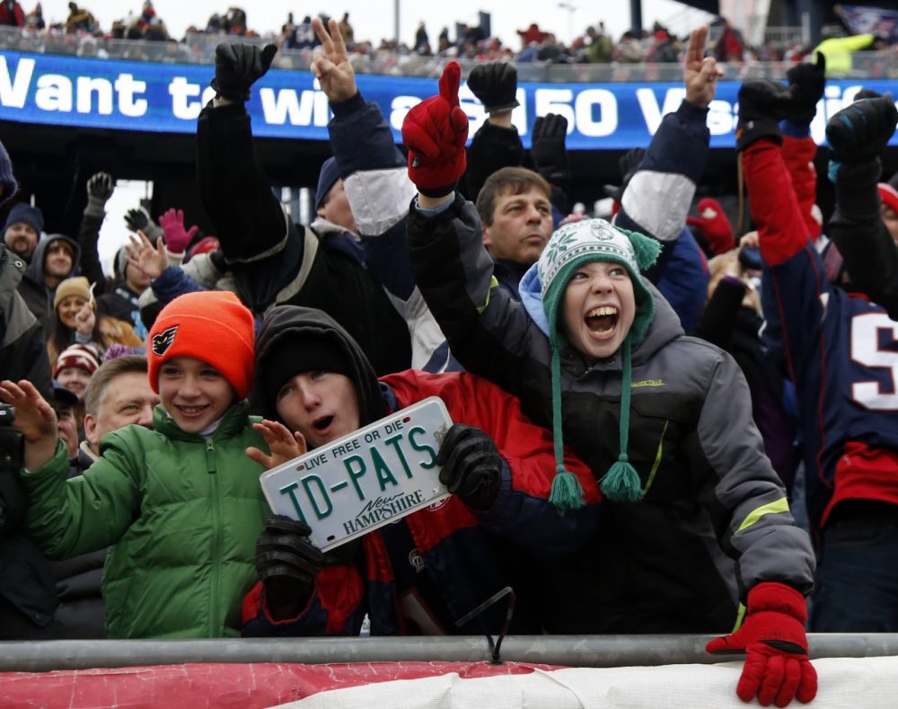 New England Patriots fans root against the Cleveland Browns Dec. 8, 2013 (AP/Elise Amendola)