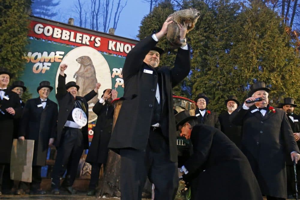 Punxsutawney Phil is held by handler John Griffiths after emerging from his burrow on Gobblers Knob in Punxsutawney, Pa., to see his shadow and forecast six more weeks of winter weather. (Gene J. Puskar/AP)