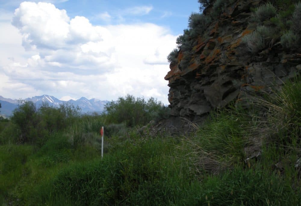 A pole marks the location where the burial was found. (Sarah L. Anzick)