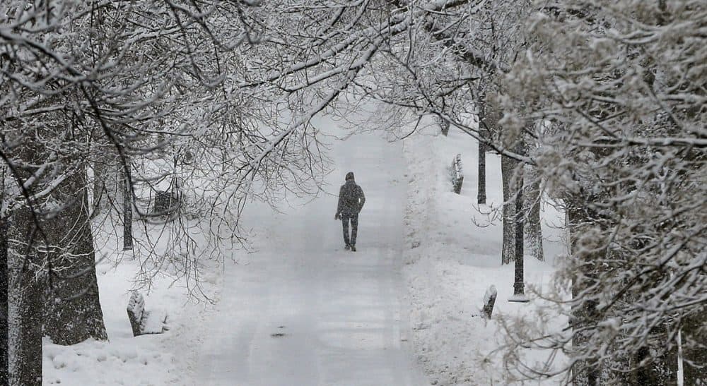 John D. Spooner: I have always believed in paying attention to the people around me -- in looking for trends and insights into character and behavior. In this photo, a pedestrian walks under snow covered trees on Boston Common in Boston, Tuesday, Feb. 18, 2014. (Michael Dwyer/AP)