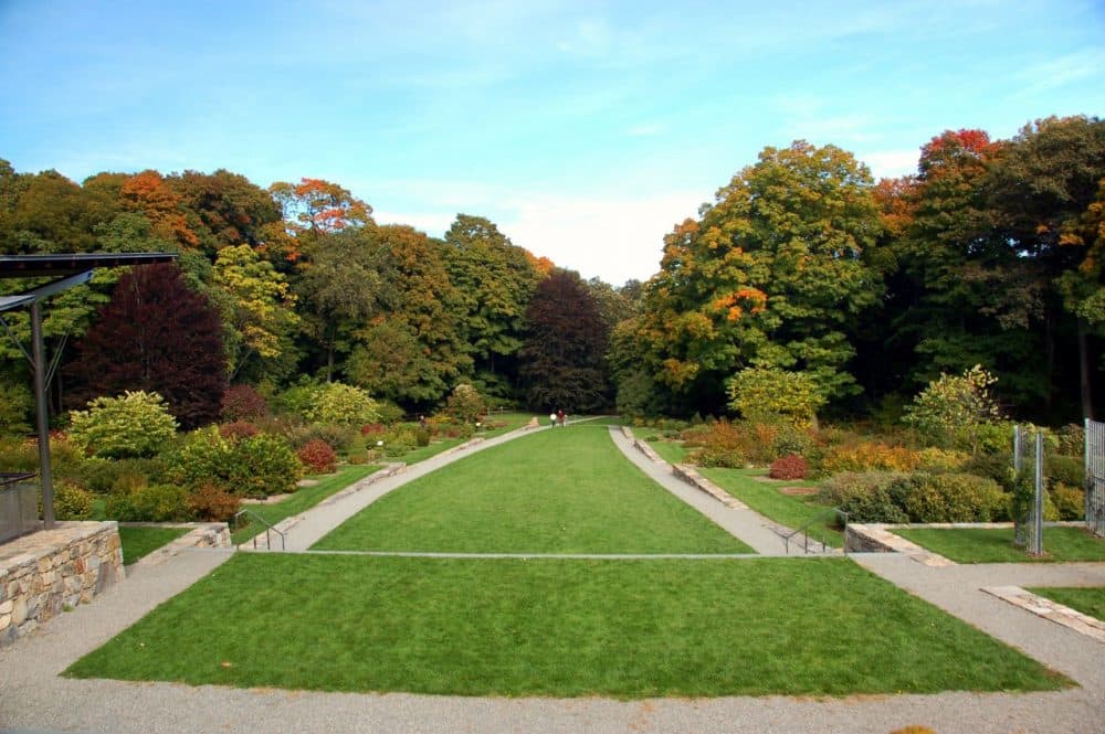 The Arnold Arboretum, a key link in Olmsted's Emerald Necklace. (Chris Devers/Flickr)