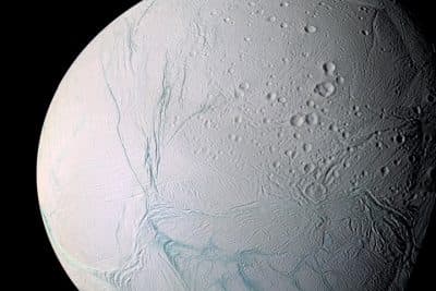 This undated photo provided by NASA on April 2, 2014 shows Saturn's moon Enceladus. The &quot;tiger stripes&quot; are long fractures from which water vapor jets are emitted. Scientists have uncovered a vast ocean beneath the icy surface of the moon, they announced Thursday, April 3, 2014. Italian and American researchers made the discovery using Cassini, a NASA-European spacecraft still exploring Saturn and its rings 17 years after its launch from Cape Canaveral. (AP)