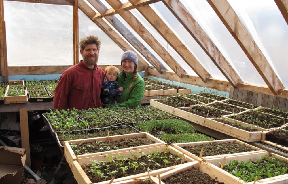 Edge Fuentes with his wife Katie Spring and their 9-month-old son Waylon in their planting room surrounded by seedlings for vegetables and flowers at their Good Heart Farmstead in Worcester, Vt. (Wilson Ring/AP)