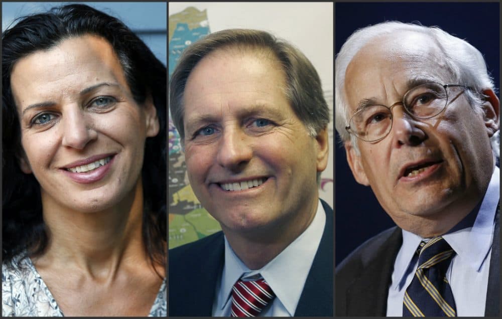 Democratic candidates for Massachusetts governor, from left: Juliette Kayyem, Joseph Avellone and Don Berwick. (Elise Amendola, Michael Dwyer/AP)