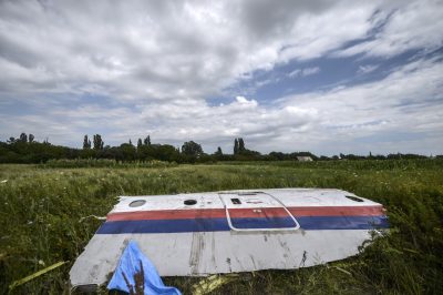 A piece of the wreckage of the Malaysia Airlines flight MH17 is pictured in a field near the village of Grabove, in the region of Donetsk on July 20, 2014. (Bulent Kilic/AFP/Getty Images)