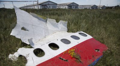 Joshua Rubenstein: &quot;There is an emerging consensus that pro-Russia separatists, armed by Vladimir Putin, brought down the plane.&quot; Pictured: Flowers lay on a piece of the crashed Malaysia Airlines Flight 17 near the village of Hrabove in eastern Ukraine, Monday, July 21, 2014. International investigators still have had only limited access to the crash site, hindered by pro-Russia fighters who control the territory in eastern Ukraine. (Dmitry Lovetsky/AP)