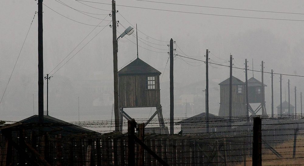 Joshua Rubenstein: &quot;Initially, the soldiers did not understand what they were finding.&quot; Pictured, Watch towers and the barbed wire fence of the former Nazi death camp Majdanek outside the city of Lublin in eastern Poland on Wednesday, Nov. 9, 2005. (Czarek Sokolowski/AP)