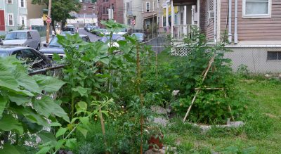 Mark Dwortzan: &quot;[Transition Towns] empower residents to produce and consume more of life’s essentials where they live, all while minimizing their reliance on fossil fuels.&quot; Pictured: The Egleston Community Orchard in Jamaica Plain, Mass., was once a vacant lot. (chipmunk_1/Flickr)