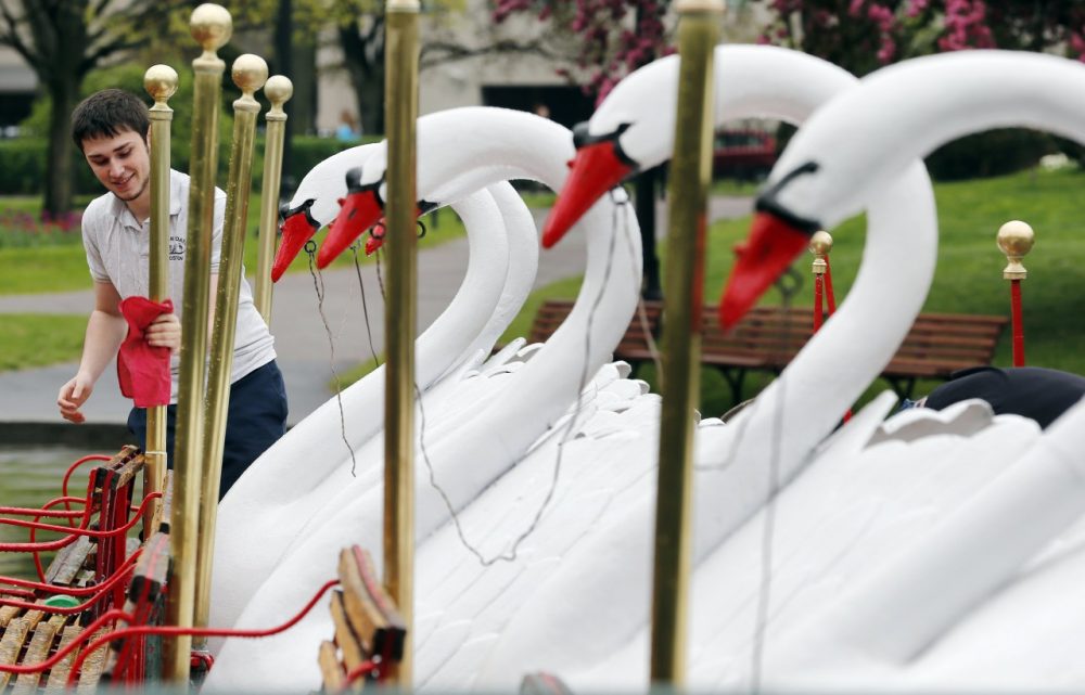 Gabe Edelman polishes the brass on the Swan Boats in the Public Gardens in Boston, Saturday, May 10, 2014. Temperatures in the Boston area were in the 70s on Saturday. (AP)