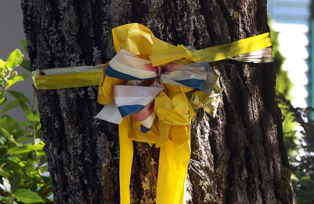 A yellow ribbon is tied to a tree outside the family home of freelance journalist James Foley. (Jim Cole/AP)