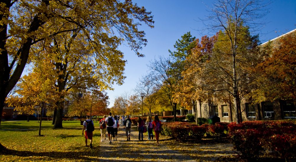 Judith Sizer: &quot;The media and the government may have turned a light onto sexual violence on campus, but effective prevention can only happen one student at a time.&quot; Pictured: fall at Ohio Northern University. (kcolwell/Flickr)