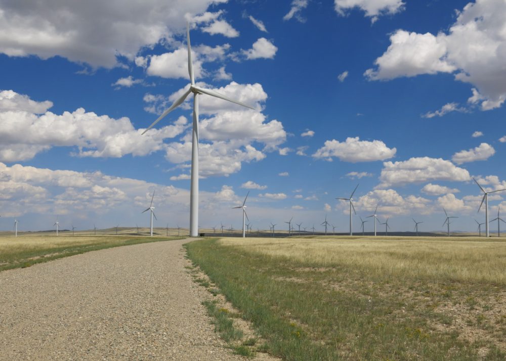 High Plains Wind Farm near McFadden, Wyoming on a breezy summer day. (Inside Energy)