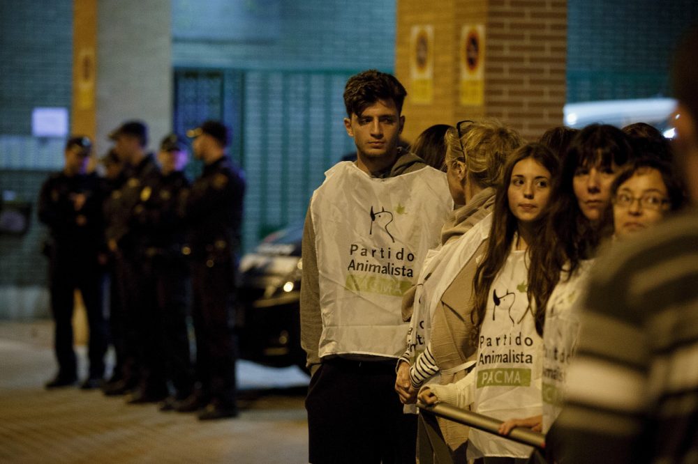 Animal Rights activists stand outside a block of apartments where a Spanish nurse who tested positive for the Ebola virus lives on October 7, 2014 in Alcorcon, near Madrid, Spain. (Pablo Blazquez Dominguez/Getty Images)