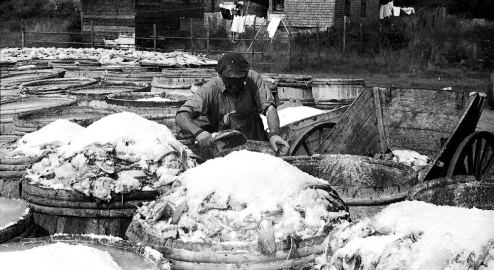 Janna Malamud Smith: To save the Atlantic cod, if it’s not already too late, we will need to make good decisions rather soon. Pictured: In 1936, codfish are salted before drying in Vinalhaven, Maine. (rich701/flickr)