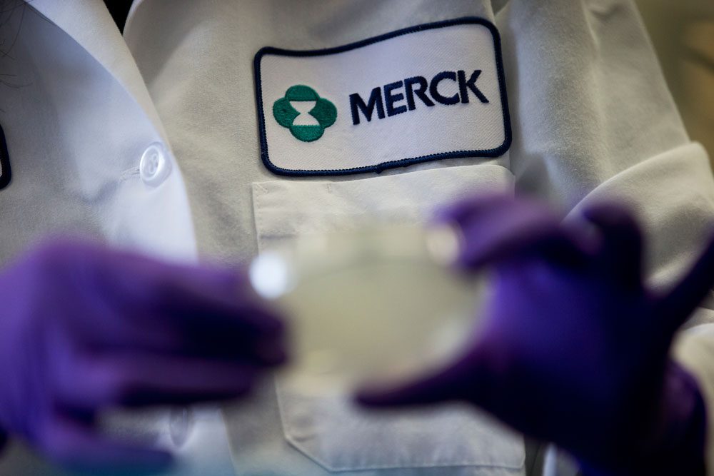 In this 2013 file photo, Merck scientist Meizhen Feng conducts research to discover new HIV drugs in West Point, Pa. Merck will buy fellow drugmaker Cubist Pharmaceuticals for $8.4 billion. (Matt Rourke/AP)