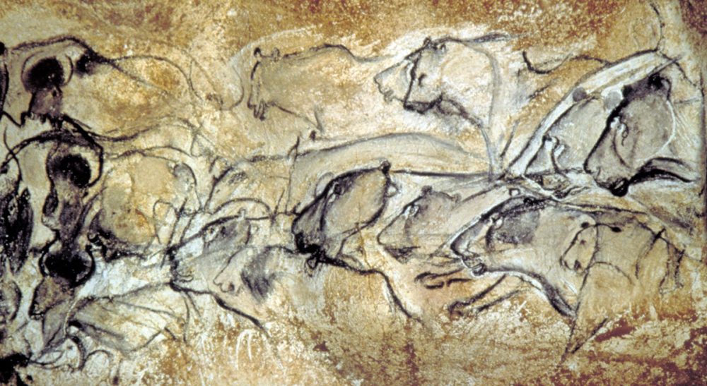 Paul Fallon: &quot;My gut response to research in the Cave de Chauvet Pont d’Arc is to cease our meddling and seal it back up.&quot; Pictured: A drawing in the Cave de Pont d'Arc in southern France. According to UNESCO, the cave contains the best preserved ancient figurative drawings in the world. The drawings were unexpectedly discovered in 1994 by researcher Jean-Marie Chauvet. (AP Photo/DRAC Rhone-Alpes, Ministere de la Culture)