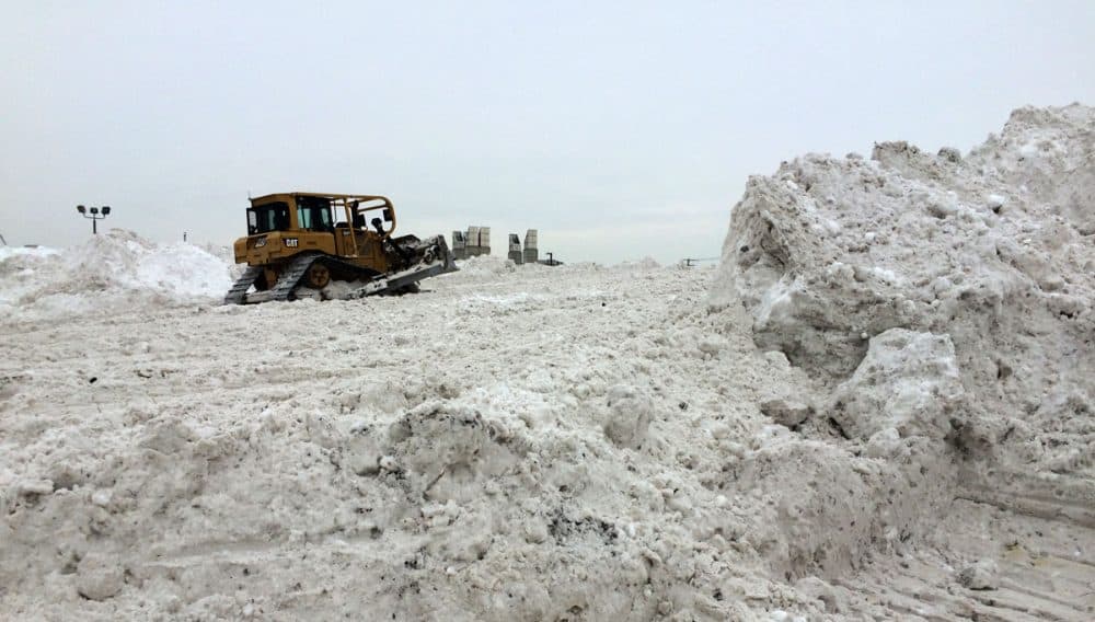 Plows move mountains of snow at Boston's biggest snow pile. (Rebecca Sananes for WBUR)