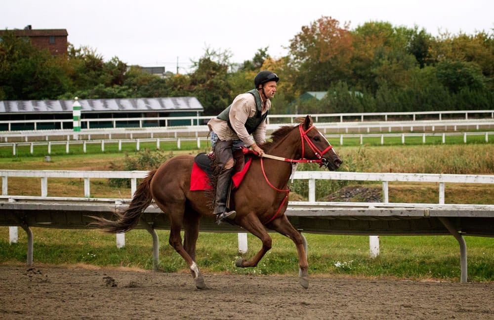 Jockey Chris Shultz takes Tale Of Houdini for a lap around the track during a training run for the final day of racing at Suffolk Downs last October. (Jesse Costa/WBUR)