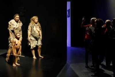 Visitors picture, from the left, models representing Flores, Homo Sapiens and Neanderthal women stand in the &quot;Musee des Confluences&quot;, a new science and anthropology museum in Lyon, central France, Thursday, Dec. 18, 2014. (AP)